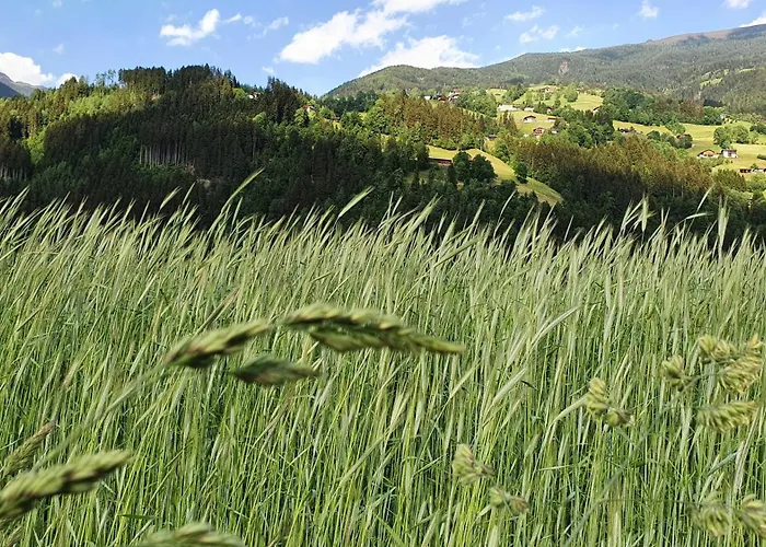 Haus Harmonie 別荘