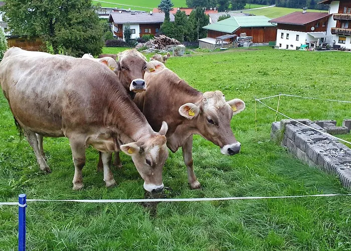 別荘 Haus Harmonie カルテンバッハ